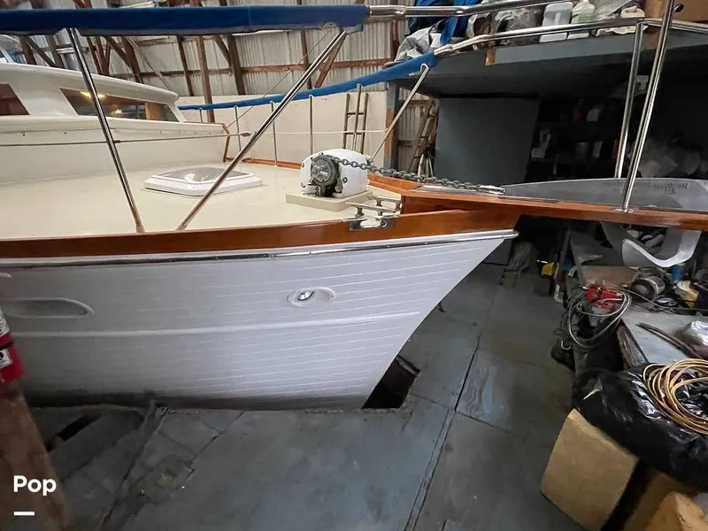 Slide: The Image of Pacemaker 53 Flybridge 1965 - 11772585