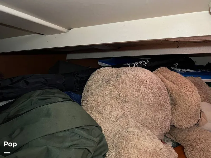 Slide: The Image of Owens 42 Aruba 1966 - 11714078