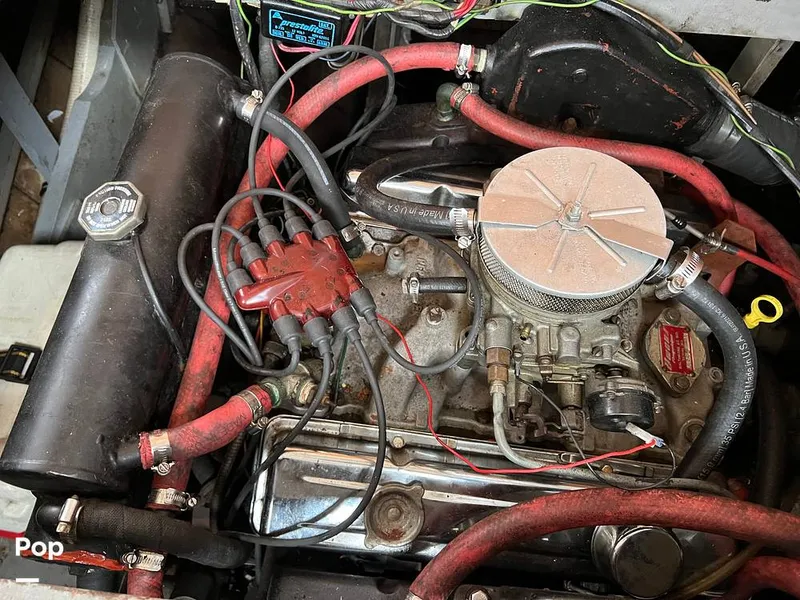 Slide: The Image of Owens 42 Aruba 1966 - 11714094