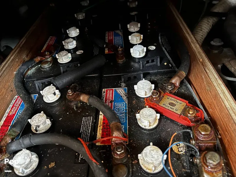 Slide: The Image of Owens 42 Aruba 1966 - 11714098