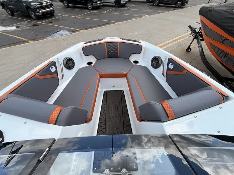 Slide: The Image of Scarab 195 LX 2027 - 6