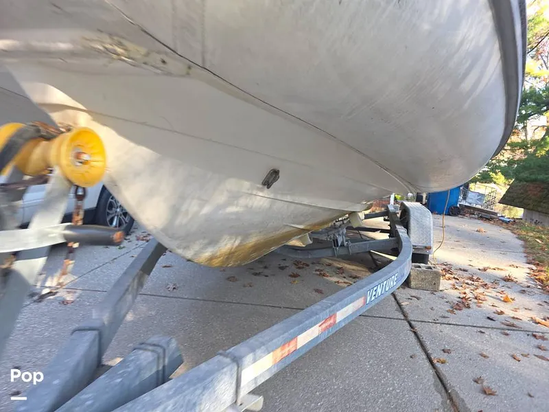 Slide: The Image of Novurania 23 2002 - 16072807