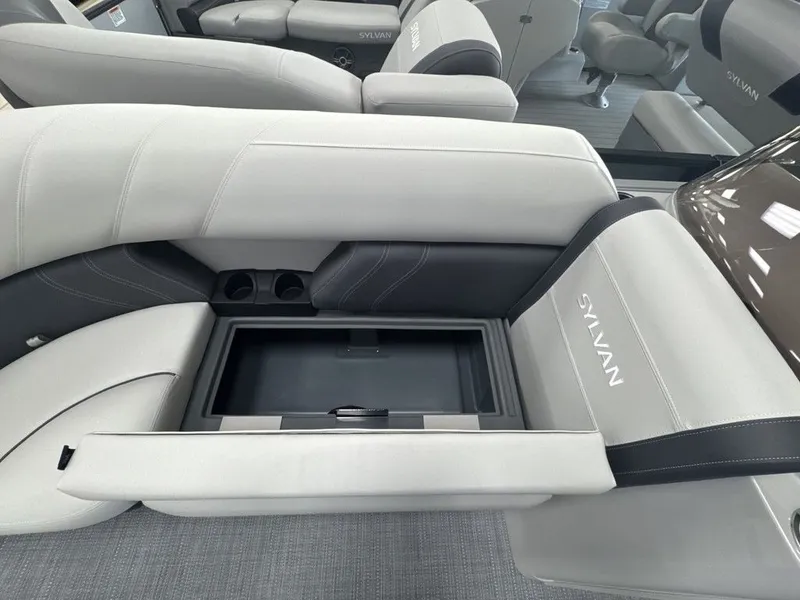 Slide: The Image of Sylvan MIRAGE 8520 CRS 2026 - 7