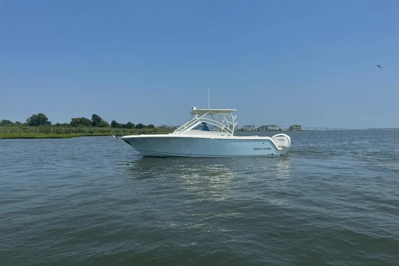 Slide: The Image of Sailfish 245 DC 2025 - 2