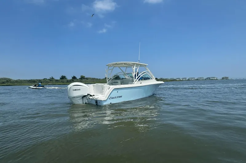 Slide: The Image of Sailfish 245 DC 2025 - 4