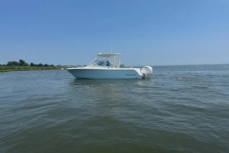 Slide: The Image of Sailfish 245 DC 2025 - 53