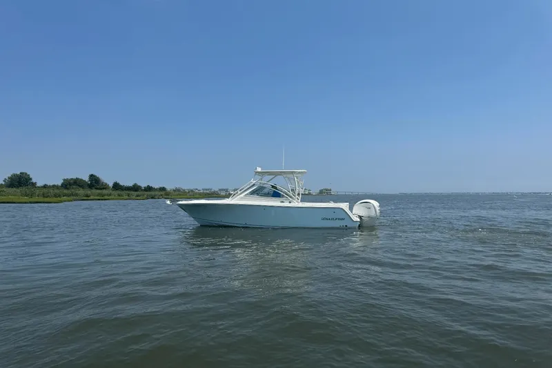 Slide: The Image of Sailfish 245 DC 2025 - 54