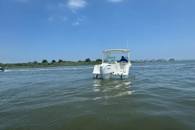 Slide: The Image of Sailfish 245 DC 2025 - 6