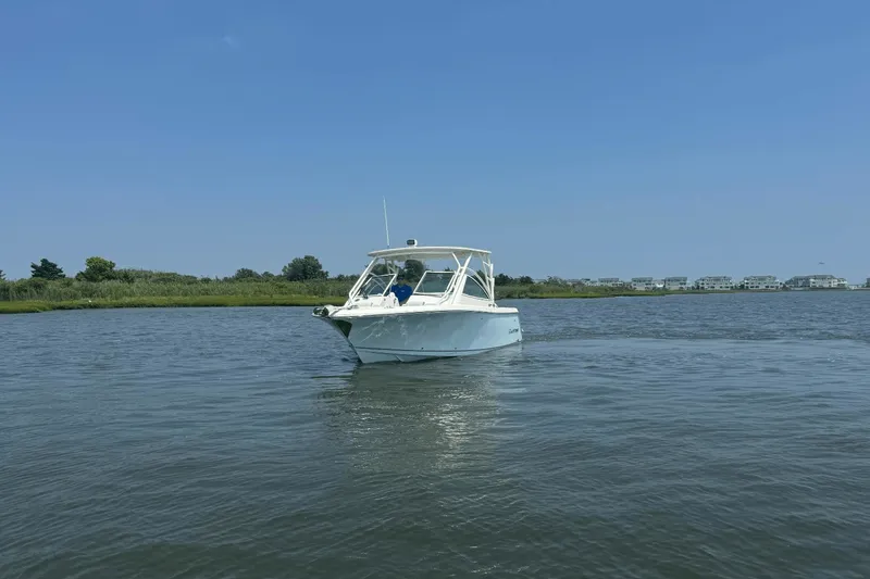 Slide: The Image of Sailfish 245 DC 2025 - 63