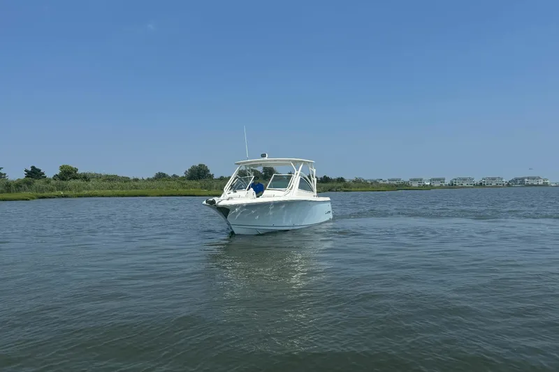 Slide: The Image of Sailfish 245 DC 2025 - 64