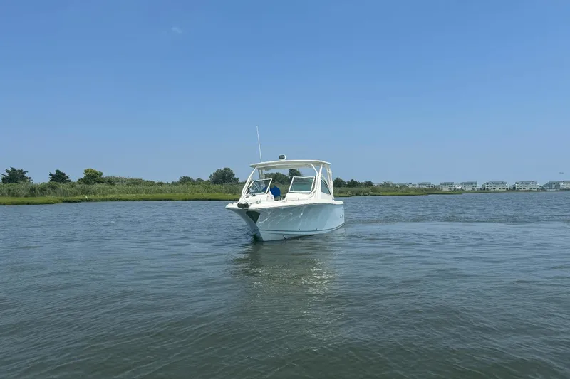 Slide: The Image of Sailfish 245 DC 2025 - 65