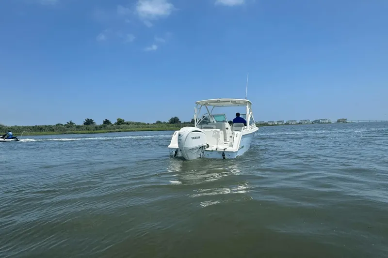 Slide: The Image of Sailfish 245 DC 2025 - 75