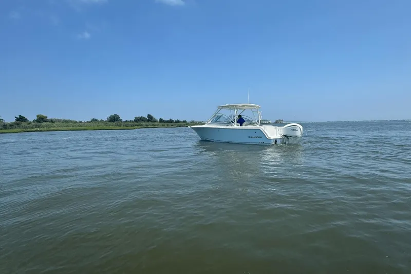 Slide: The Image of Sailfish 245 DC 2025 - 81