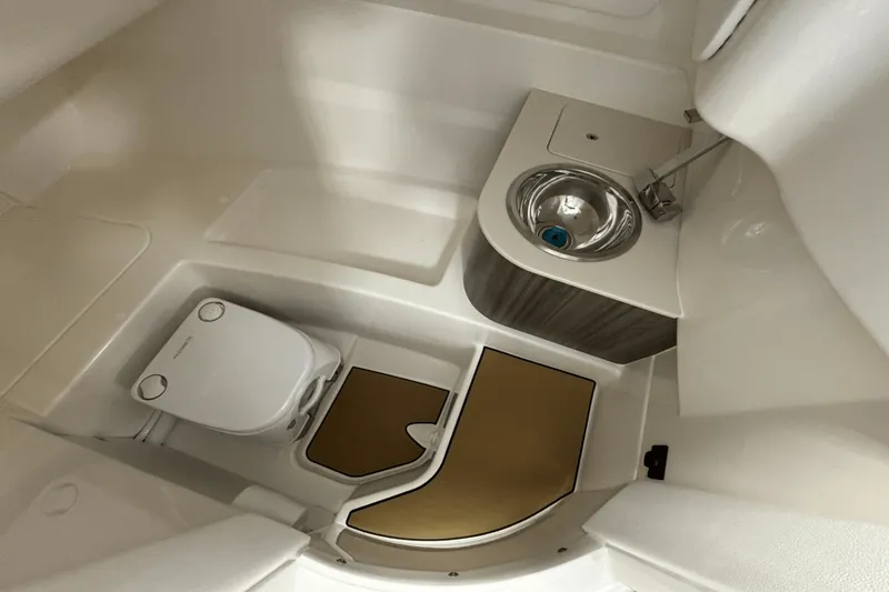 Slide: The Image of Sea Ray 250 SDX 2025 - 29