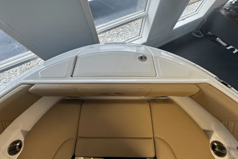 Slide: The Image of Sea Ray 250 SDX 2025 - 34