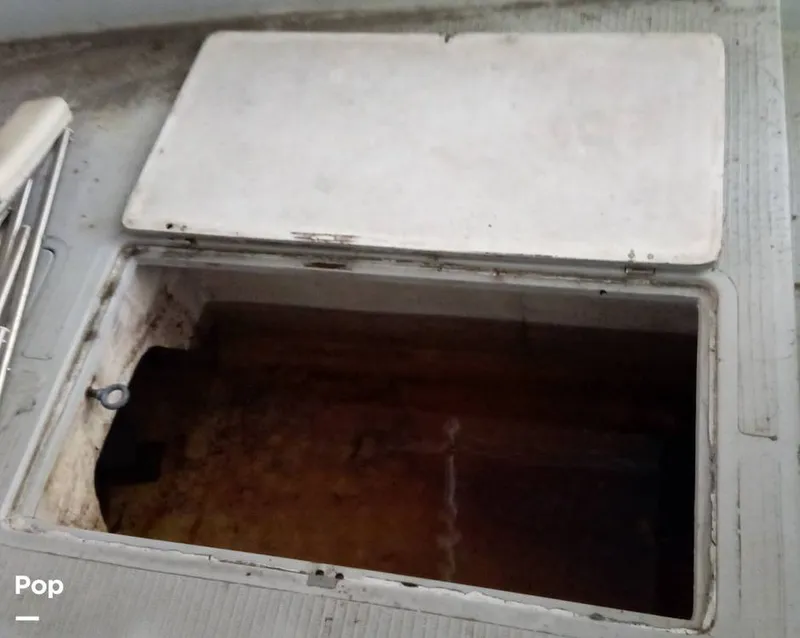 Slide: The Image of Scarab SPORTSTER 26 1989 - 12570503