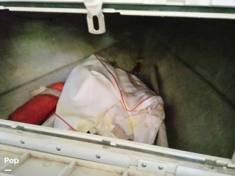 Slide: The Image of Scarab SPORTSTER 26 1989 - 12570505