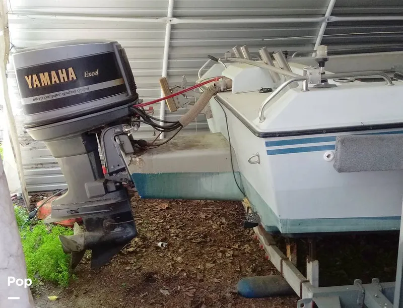 Slide: The Image of Scarab SPORTSTER 26 1989 - 12570467