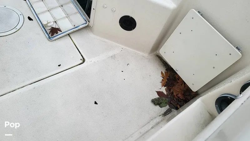 Slide: The Image of Seaswirl 2100 CC 1998 - 11802712