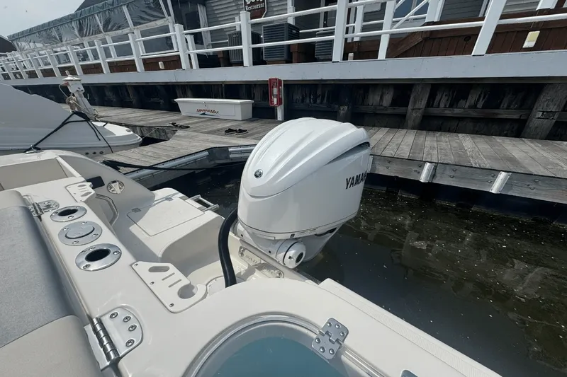 Slide: The Image of Sailfish 241 CC 2025 - 14