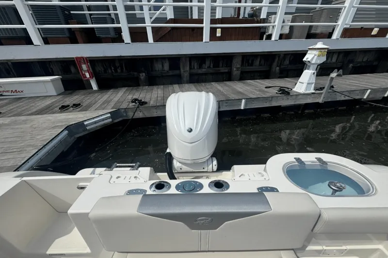 Slide: The Image of Sailfish 241 CC 2025 - 15