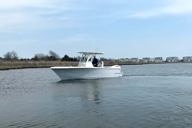 Slide: The Image of Sailfish 241 CC 2025 - 2