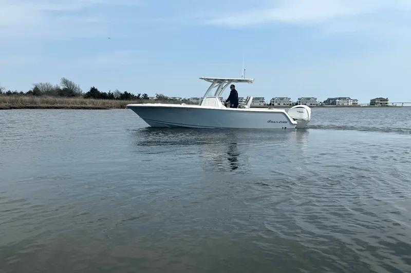 Slide: The Image of Sailfish 241 CC 2025 - 7