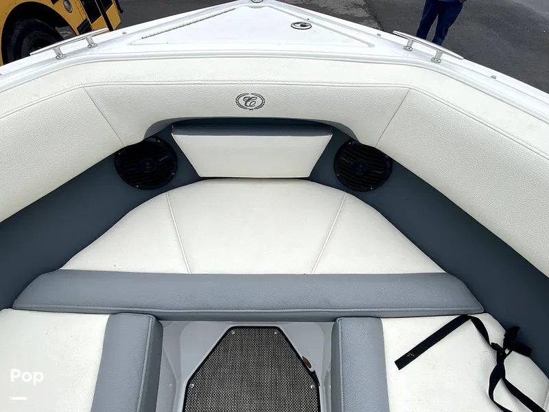 Slide: The Image of Cobalt CS 22 2018 - 11983414