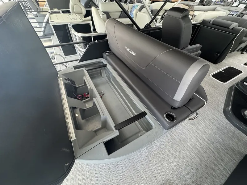 Slide: The Image of Sylvan MIRAGE X3 CLZ DH PLATINUM PKG 2026 - 25