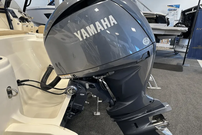 Slide: The Image of Scout 215 XSF 2025 - 3