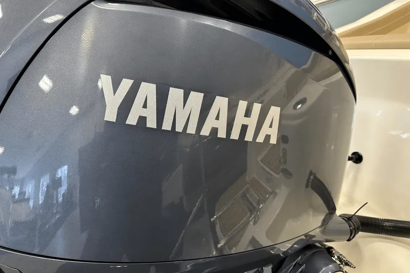 Slide: The Image of Scout 215 XSF 2025 - 47