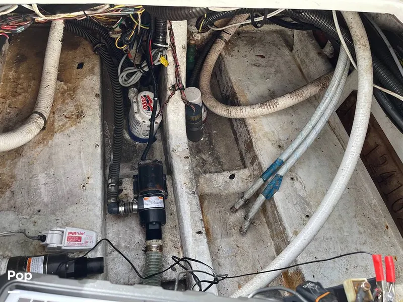 Slide: The Image of Fountain 32 CC 2007 - 11898241