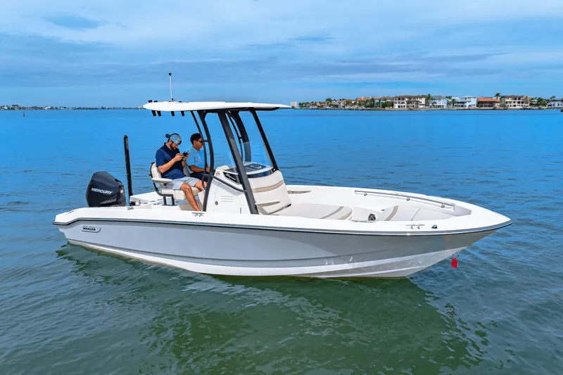 Slide: The Image of Boston Whaler 220 Dauntless 2025 - 17