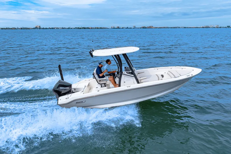 Slide: The Image of Boston Whaler 220 Dauntless 2025 - 28