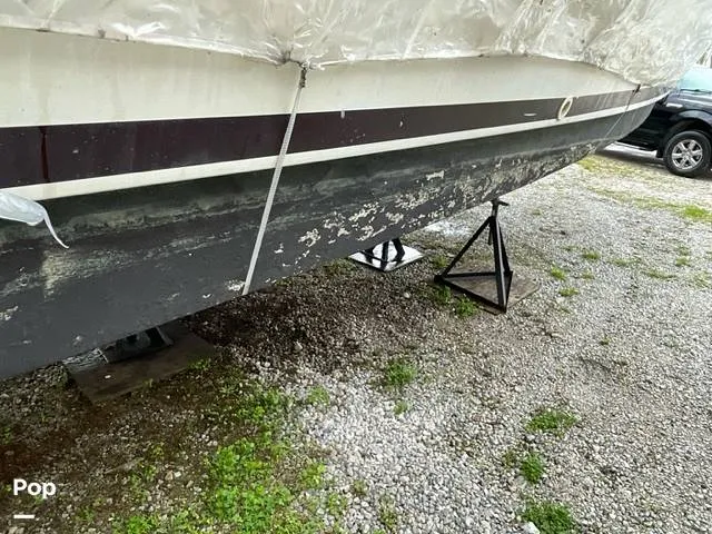 Slide: The Image of Silverton 34 C 1991 - 14127116