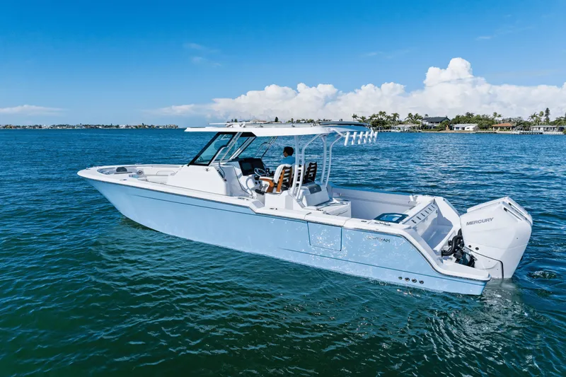 Slide: The Image of Bertram 34CC 2025 - 2