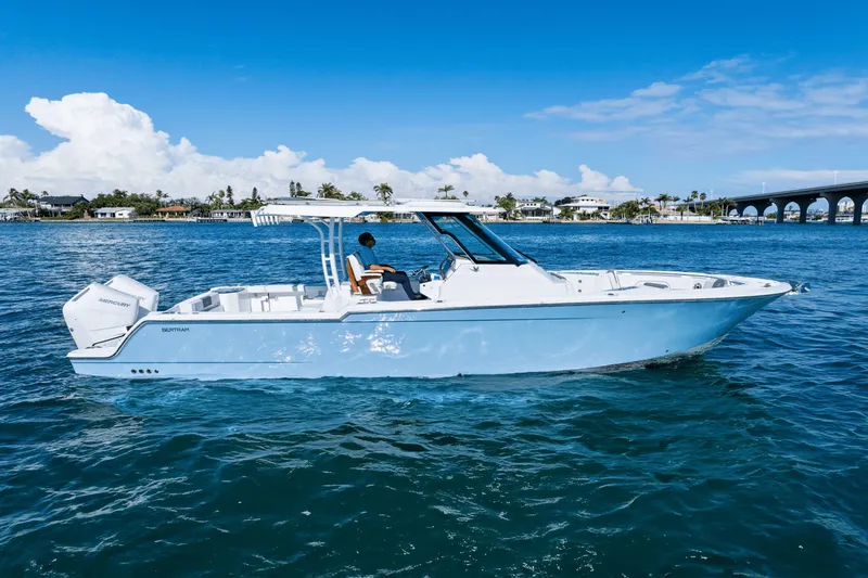 Slide: The Image of Bertram 34CC 2025 - 6