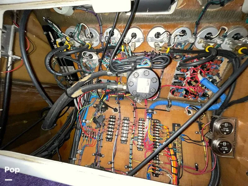 Slide: The Image of Eliminator 36 daytona 2001 - 12092160