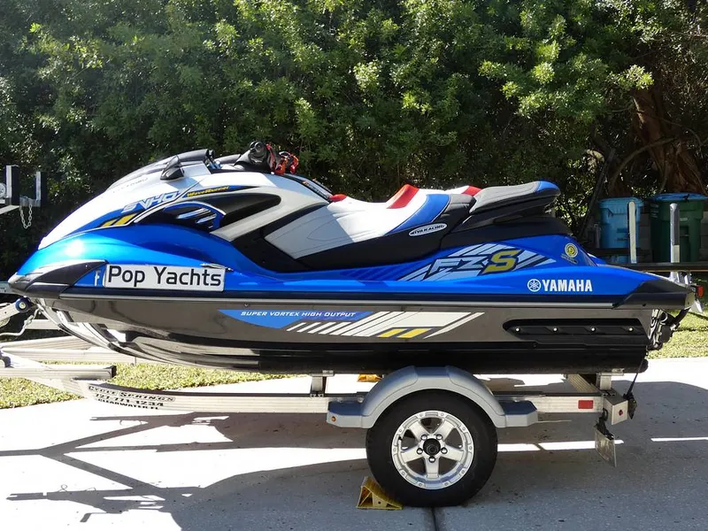 Slide: The Image of FZS - 12035045