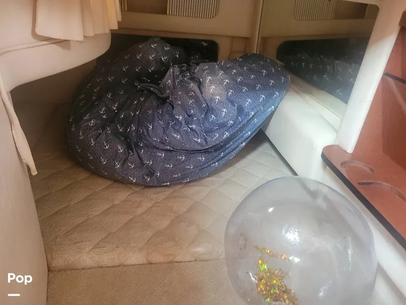 Slide: The Image of Sea Ray 290 Sundancer 2001 - 13958032