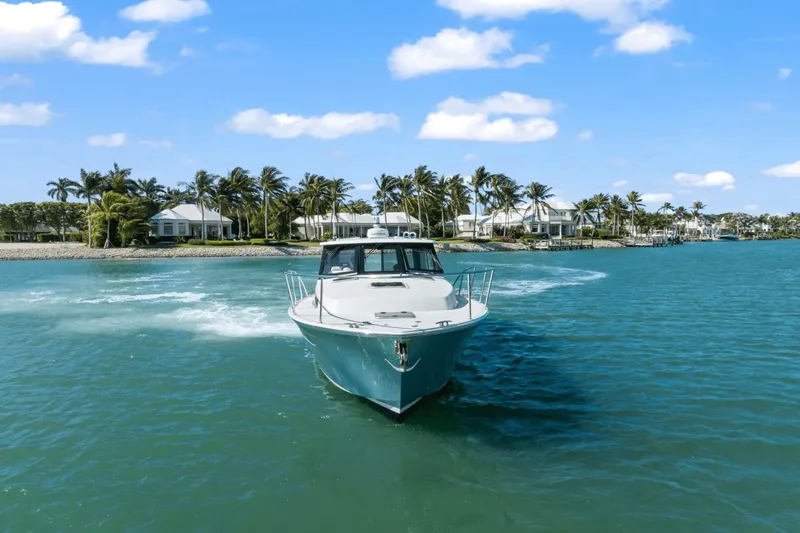 Slide: The Image of MJM 42 2025 - 2