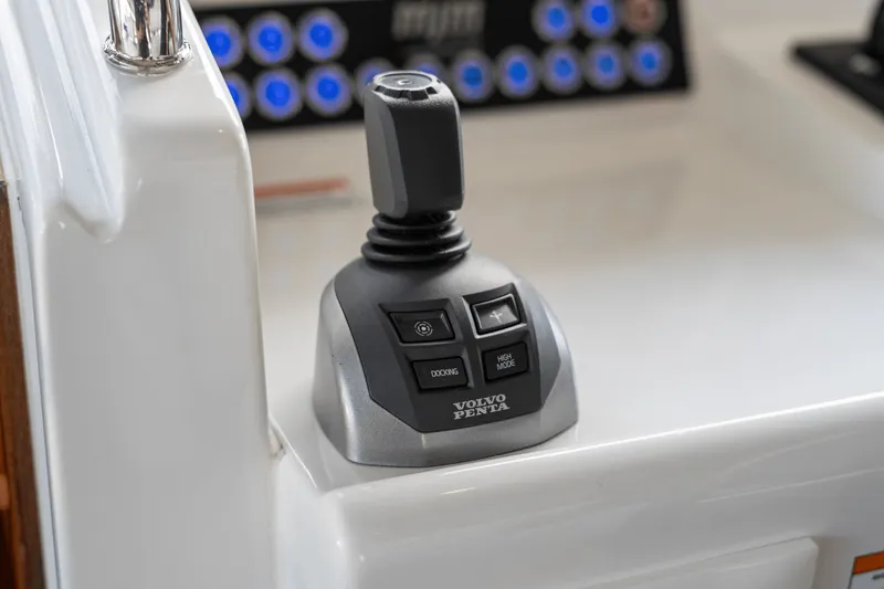 Slide: The Image of MJM 42 2025 - 38