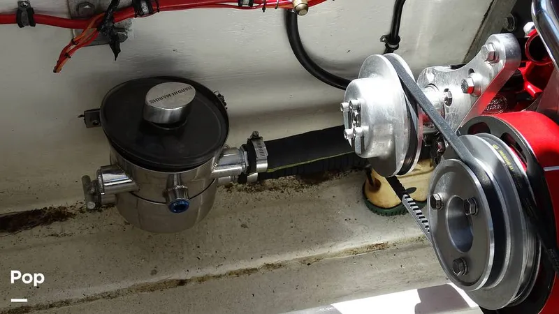 Slide: The Image of Fountain Fever 38 1989 - 12160556