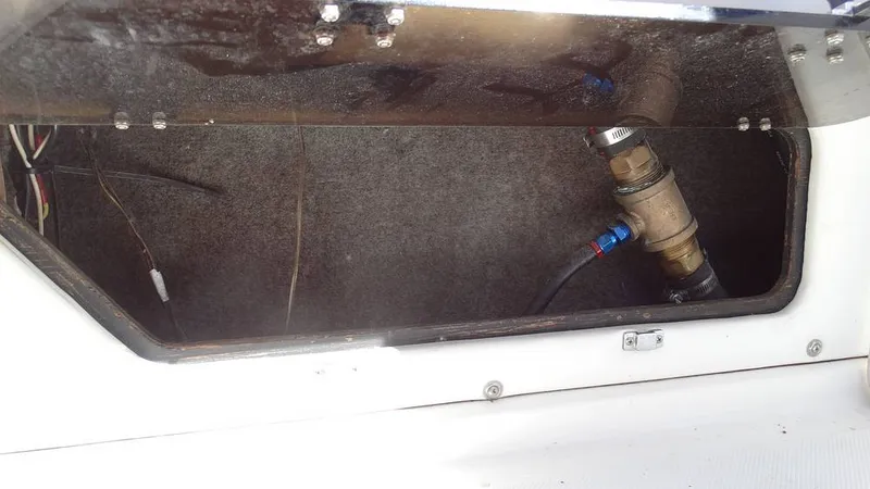 Slide: The Image of Fountain Fever 38 1989 - 12160416