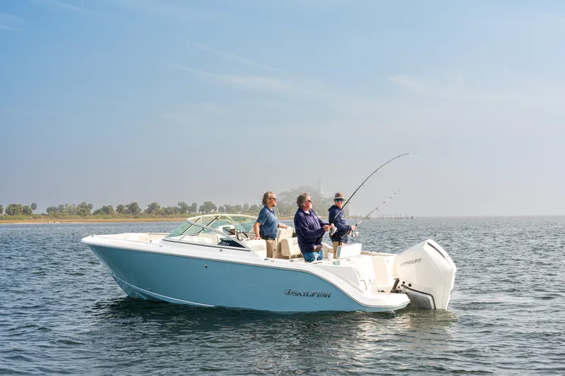 The Image of Sailfish 236 DC 2027 - 0