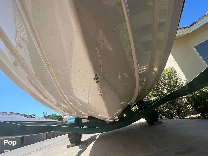 Slide: The Image of Chips In Keel - 12468043