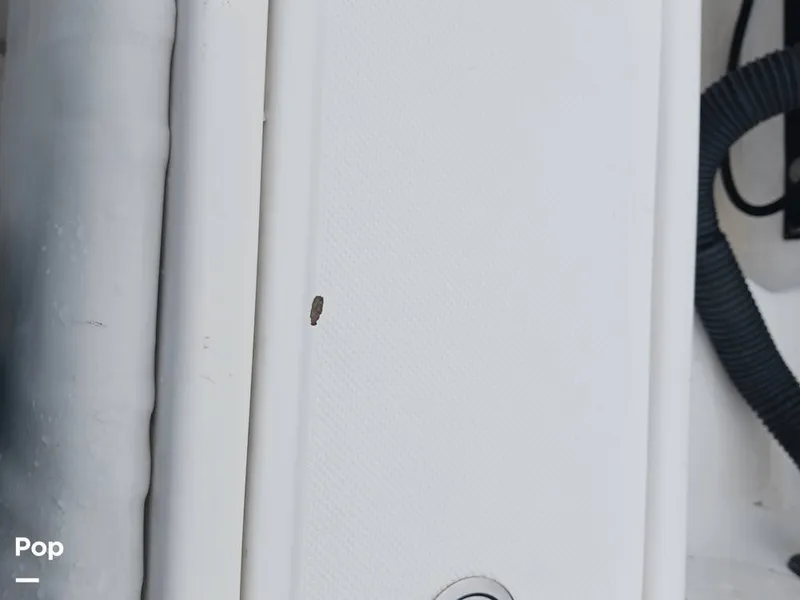 Slide: The Image of Fountain 31TE 1993 - 12192943