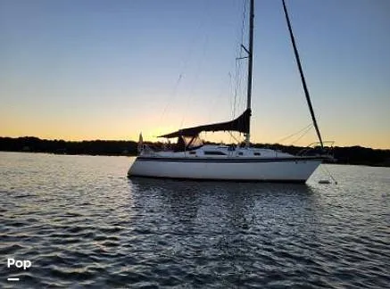 The Image of Hunter 31 1983 - 12116695