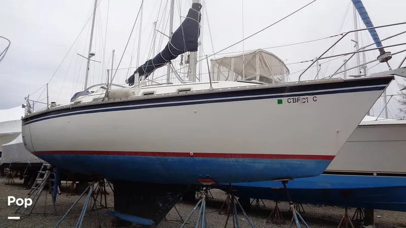 Slide: The Image of Hunter 31 1983 - 12168289