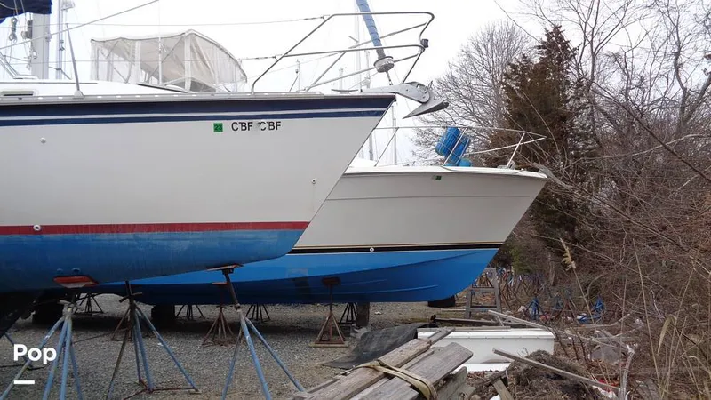 Slide: The Image of Hunter 31 1983 - 12168290